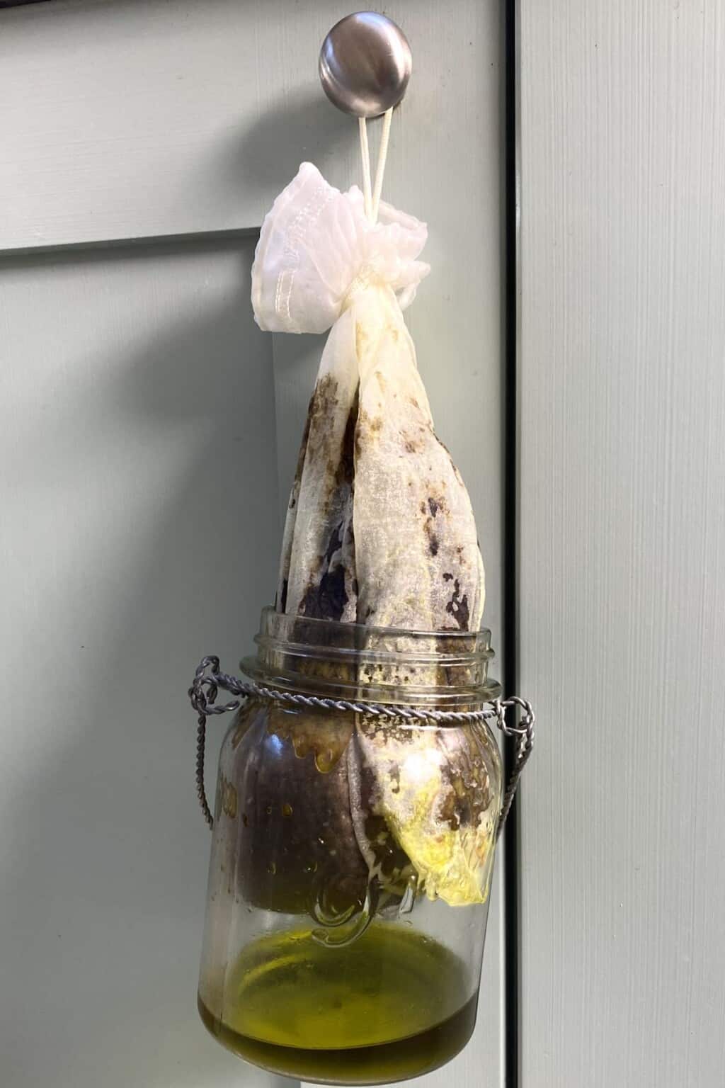 How To Make Avocado Oil (Extra Virgin Cold Process) Alphafoodie