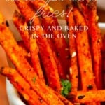 Close up of sweet potato fries