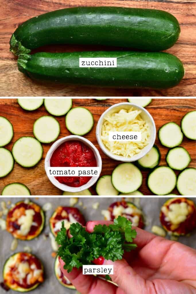 Easy Zucchini Pizza Bites (Low Carb Pizza) - Alphafoodie