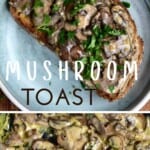 Mushrooms in a toast in a plate and close up of creamy mushrooms
