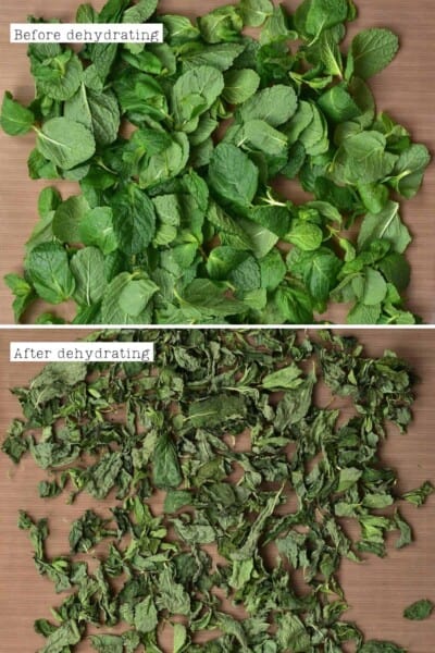 How To Dry Mint (3 Methods for Dried Mint) - Alphafoodie