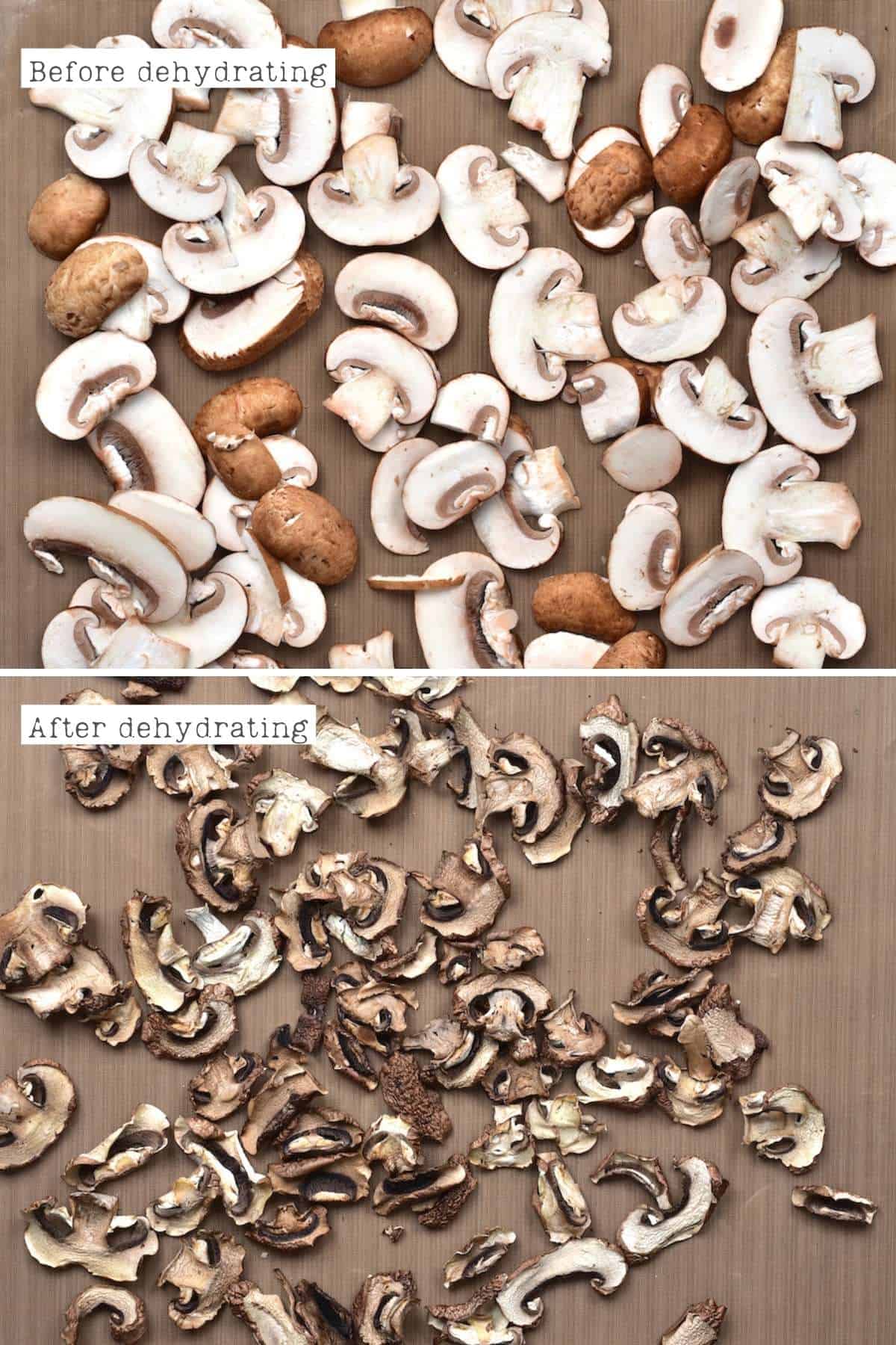 Before and after dehydrating mushrooms