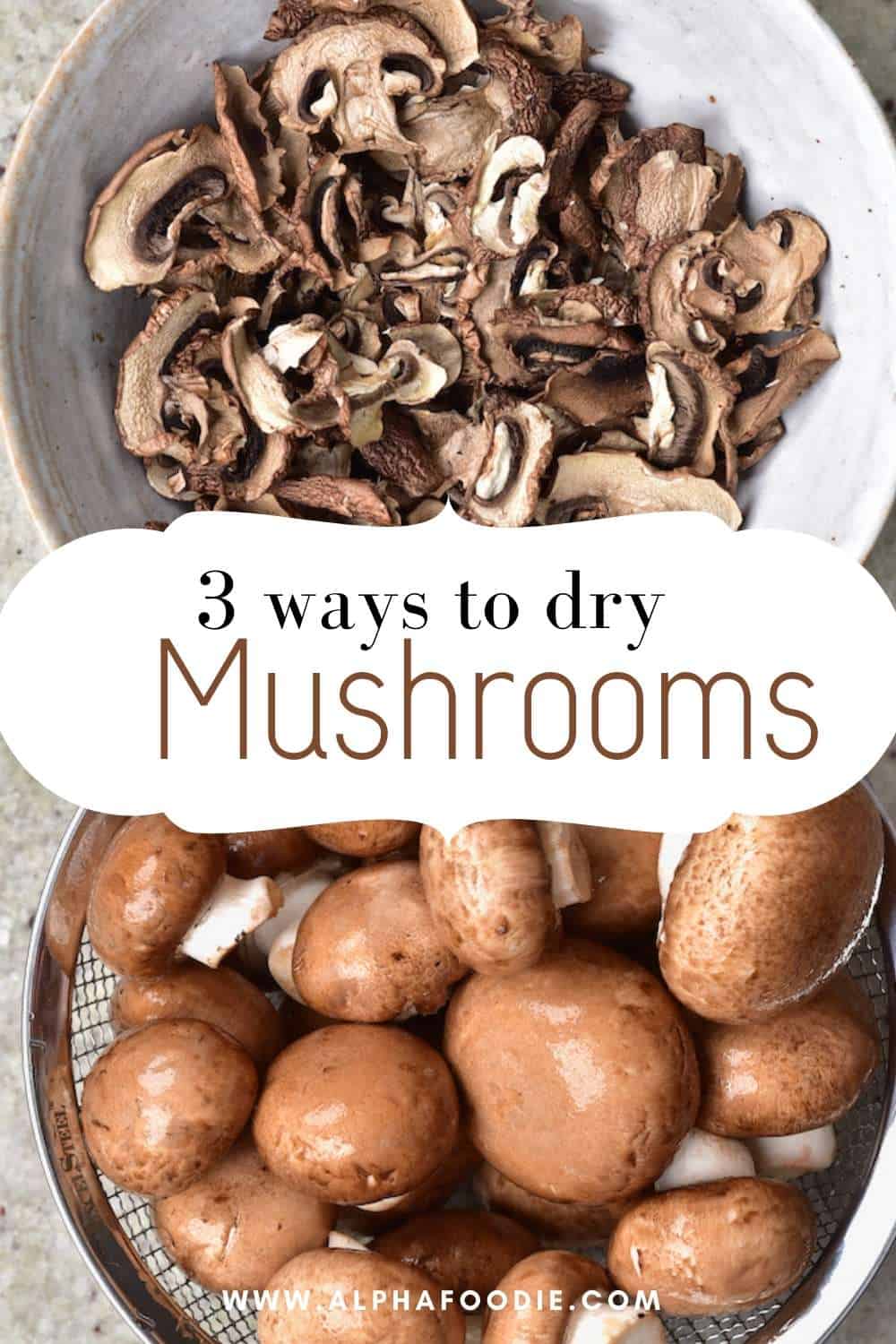 How To Dry Mushrooms (In Oven or Dehydrator) Alphafoodie