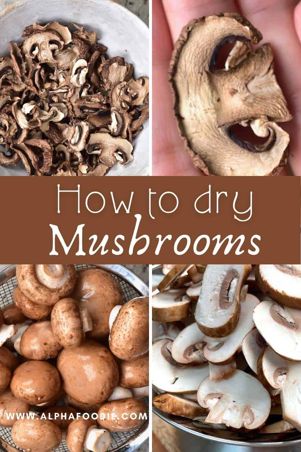 How To Dry Mushrooms (In Oven or Dehydrator) Alphafoodie