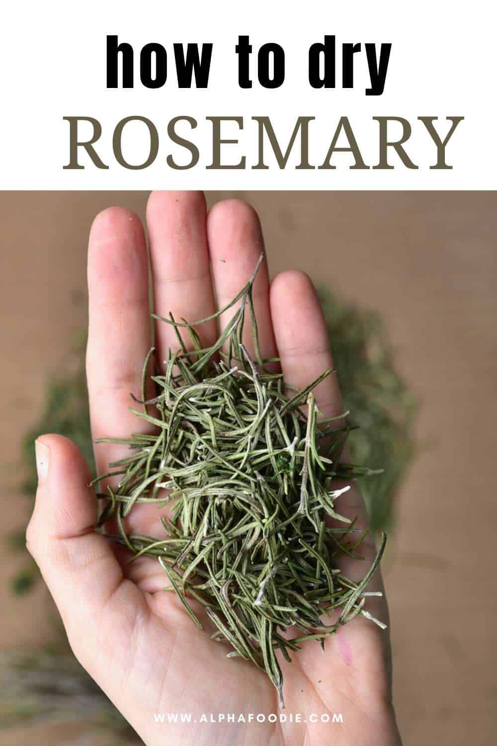 How To Dry Rosemary and Store It (3 Methods) Alphafoodie