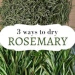 Dried rosemary and fresh rosemary on a flat surface