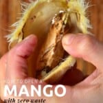 Mango seed in a hand