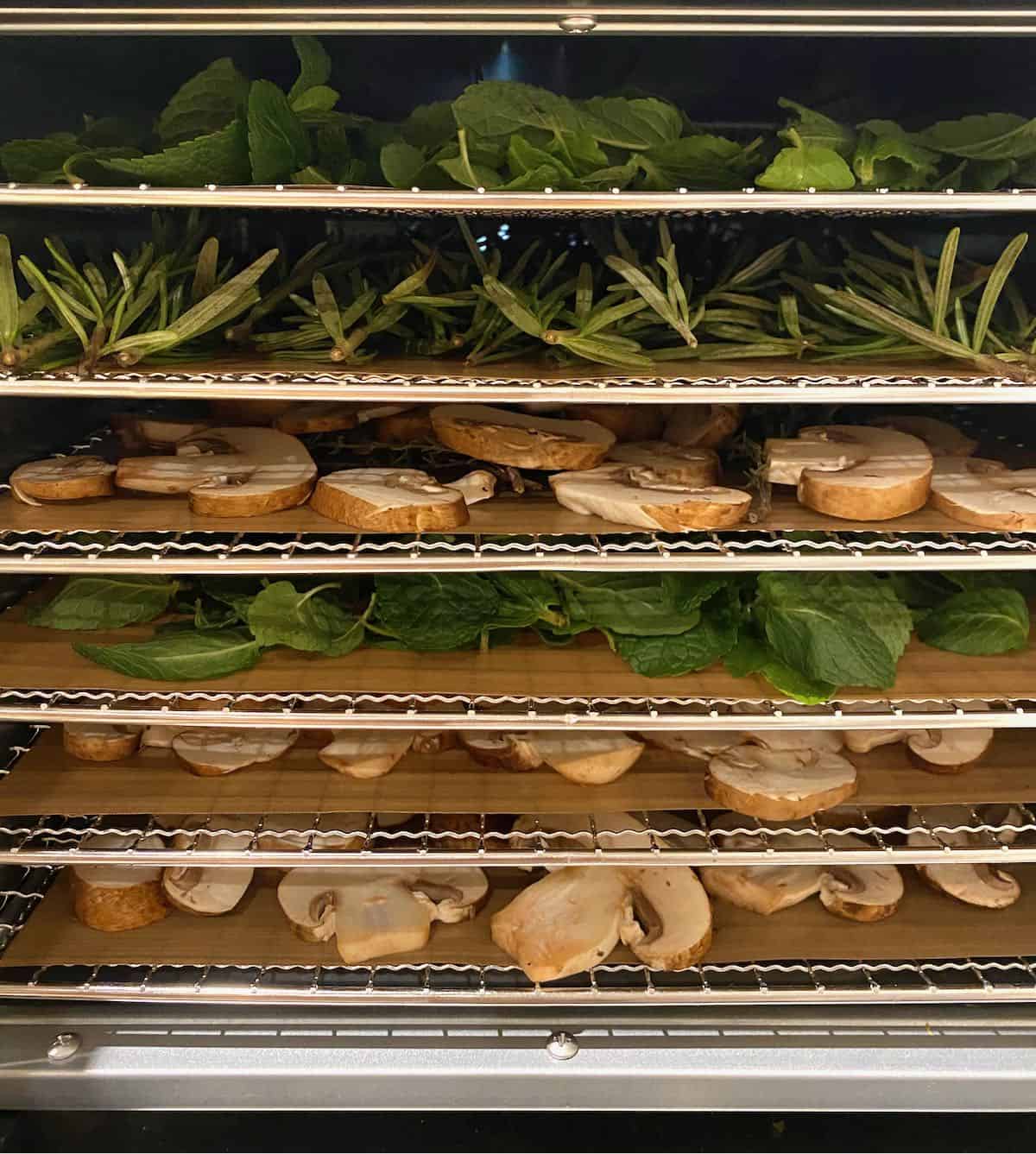 Herbs and mushroom slices in a dehydrator