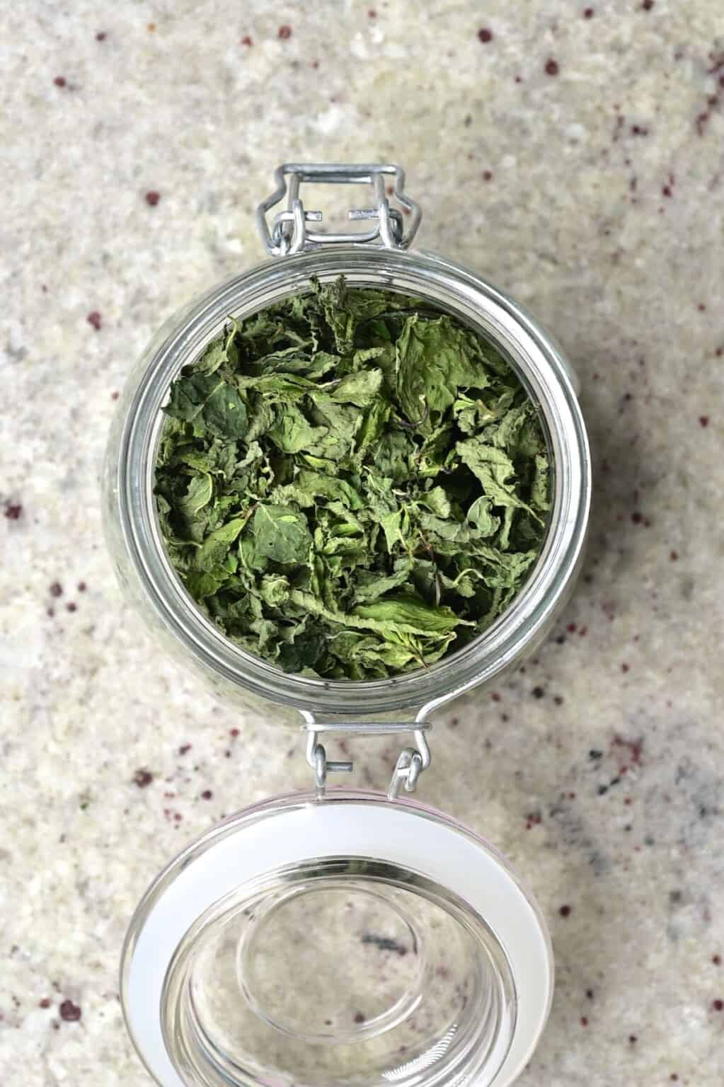 How To Dry Mint (3 Methods for Dried Mint) Alphafoodie