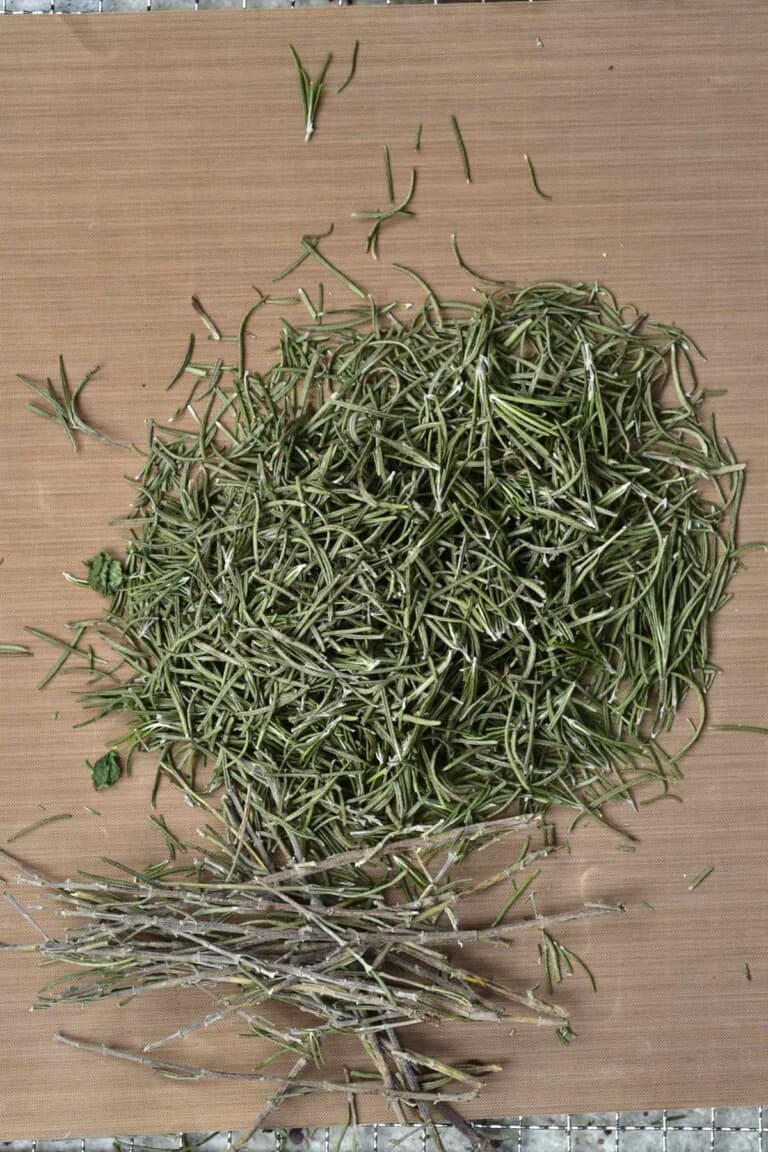 how-to-dry-rosemary-and-store-it-3-methods-alphafoodie