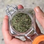 A hand holding a little jar with homemade dried thyme - 12