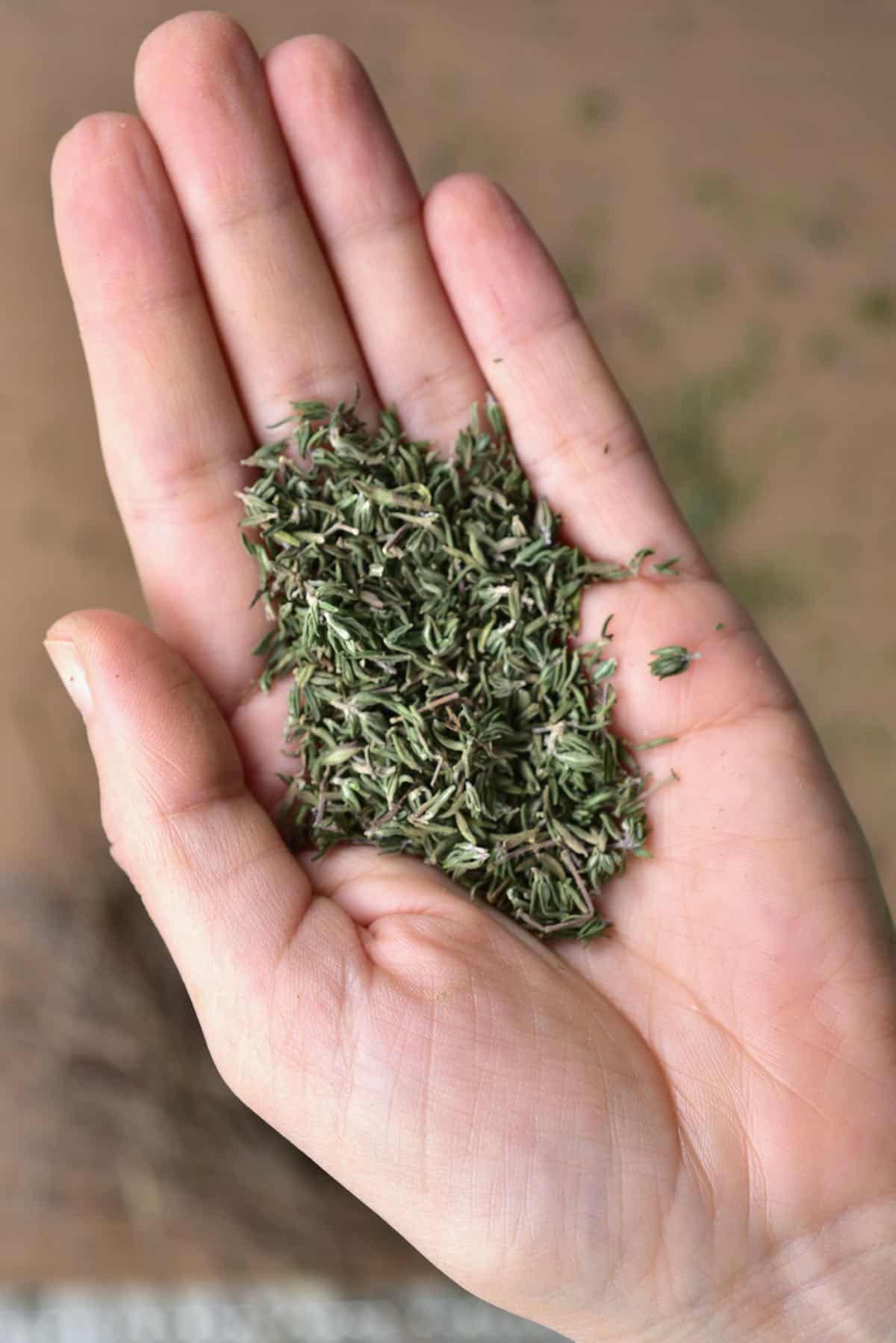 A hand holding homemade dried thyme