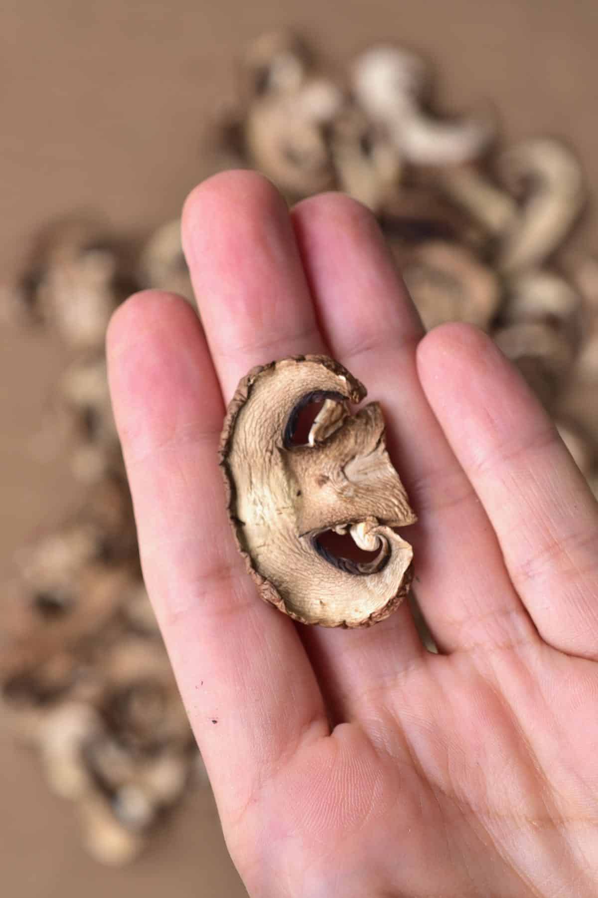 A hand holding a slice of homemade dried mushrooms