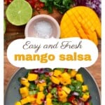 Ingredients for mango salsa and a bowl with mango salsa