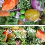 Close up of Salmon Potato Salad