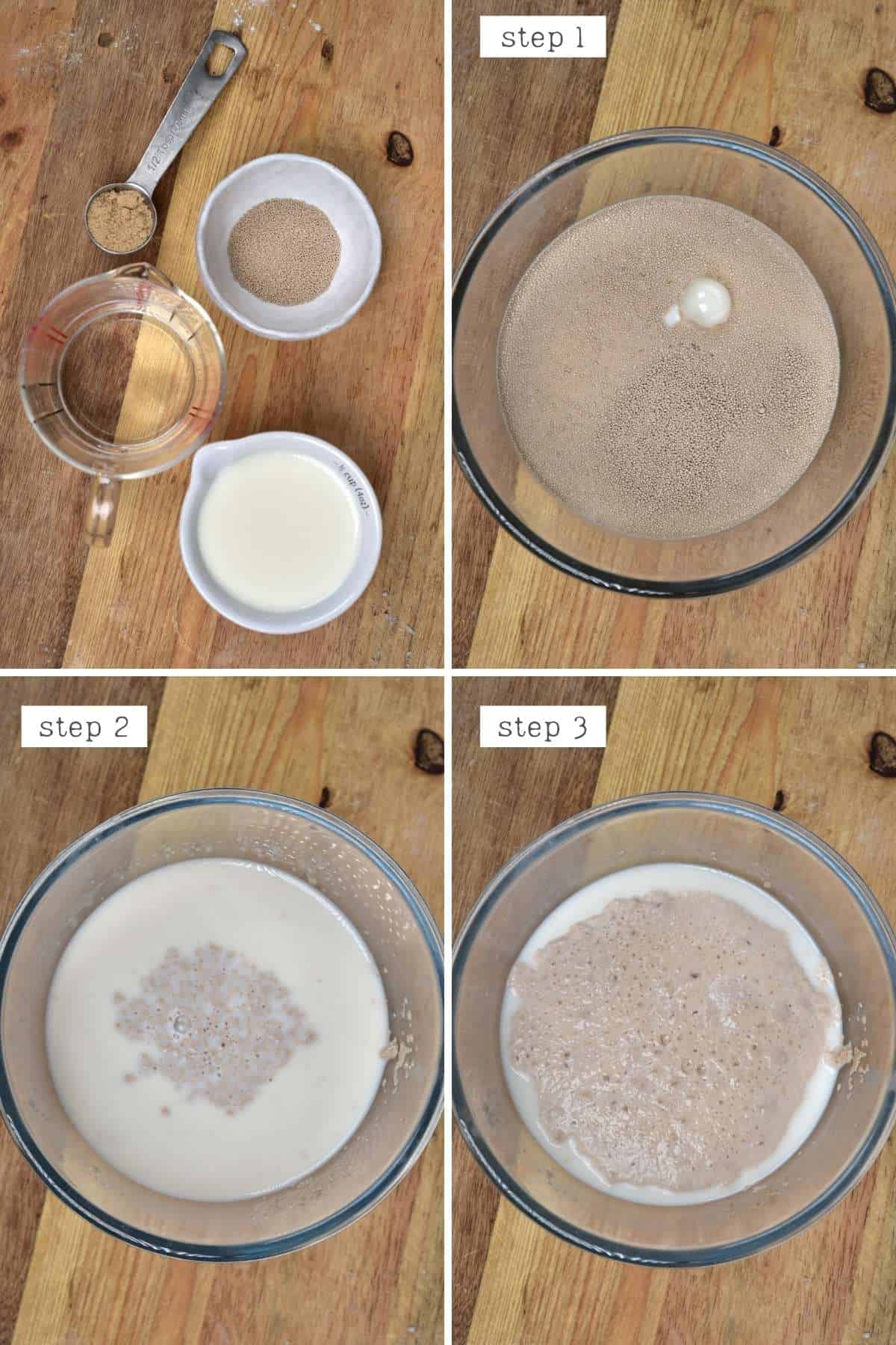 Steps for activating yeast in water and milk