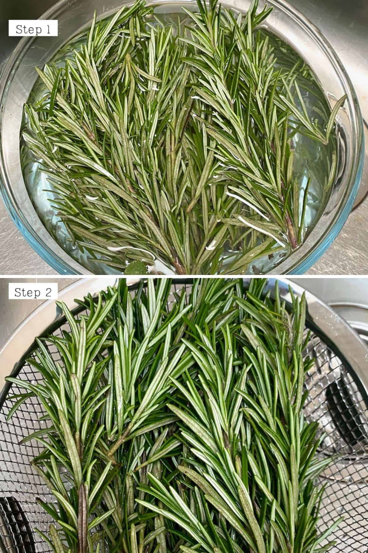 Steps for washing rosemary