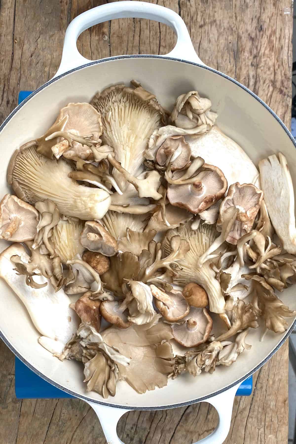 Mushrooms cooking in a dry pan