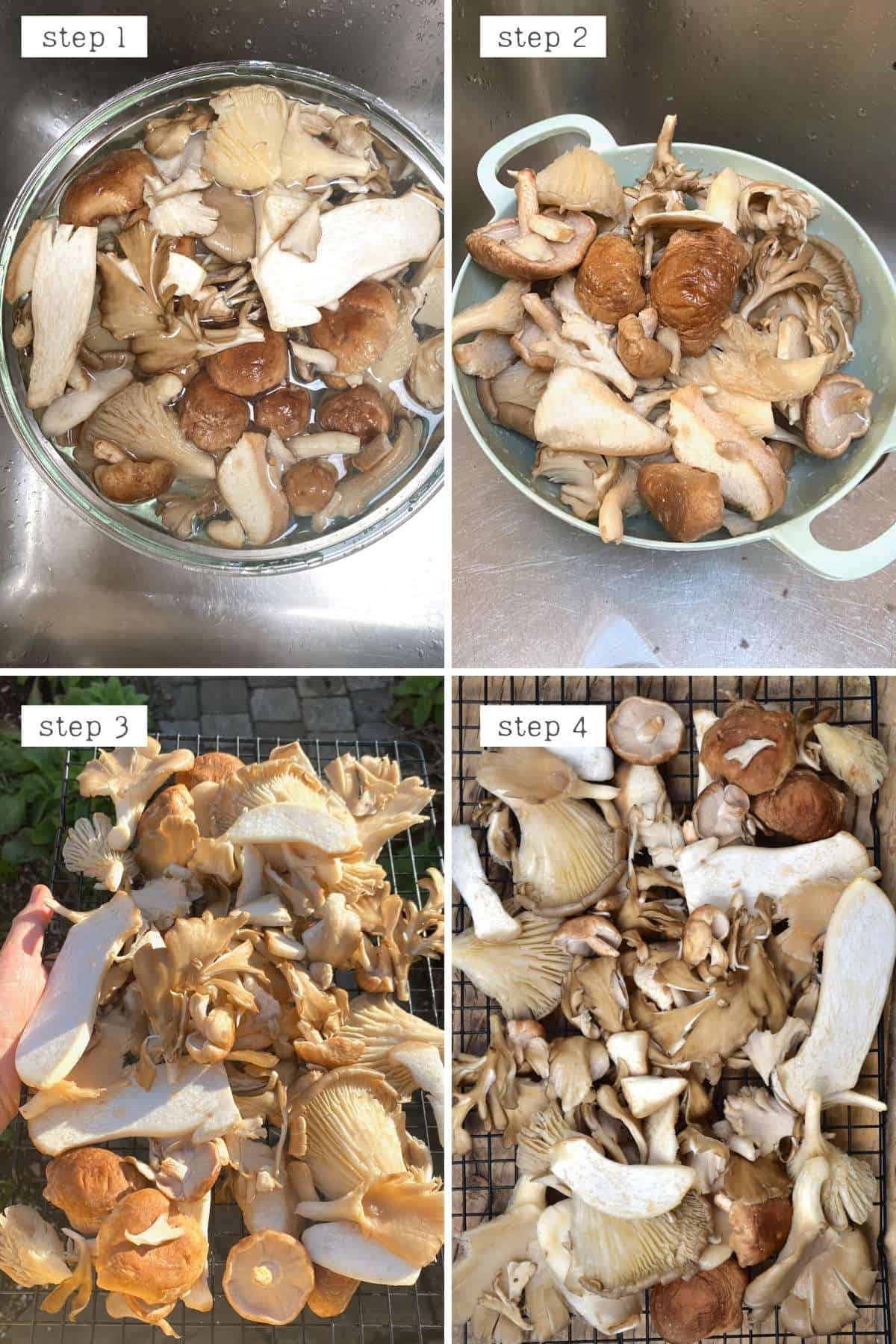 Steps for cleaning mushrooms