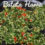 Spices and cilantro for batata harra in a pan