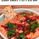 Eggplant Red Pepper Dip topped with parsley and pomegranate seeds