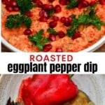 Eggplant Red Pepper Dip topped with pomegranate seeds