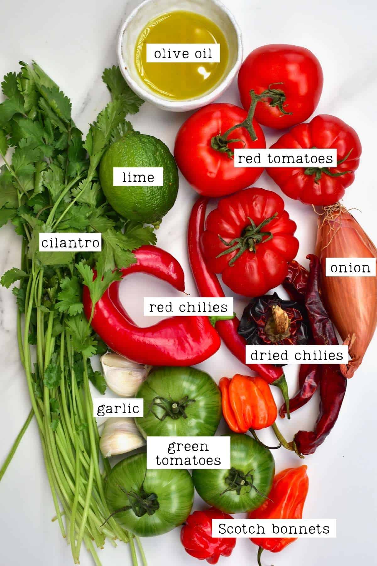 Ingredients for Salsa Roja
