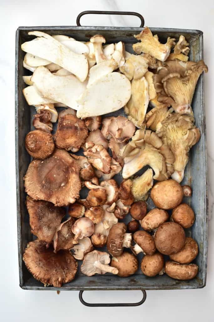 A selection of mushrooms in a tray