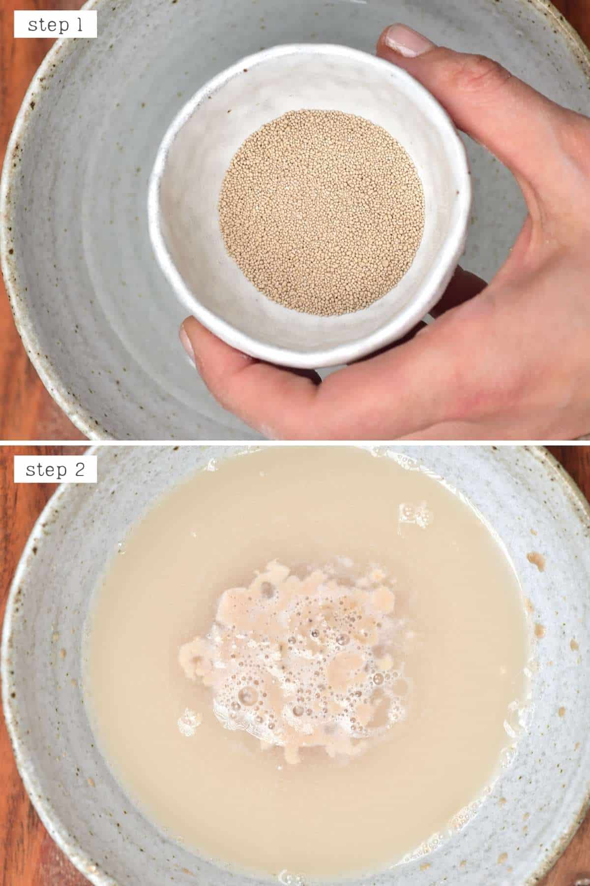 Steps for activating dry yeast