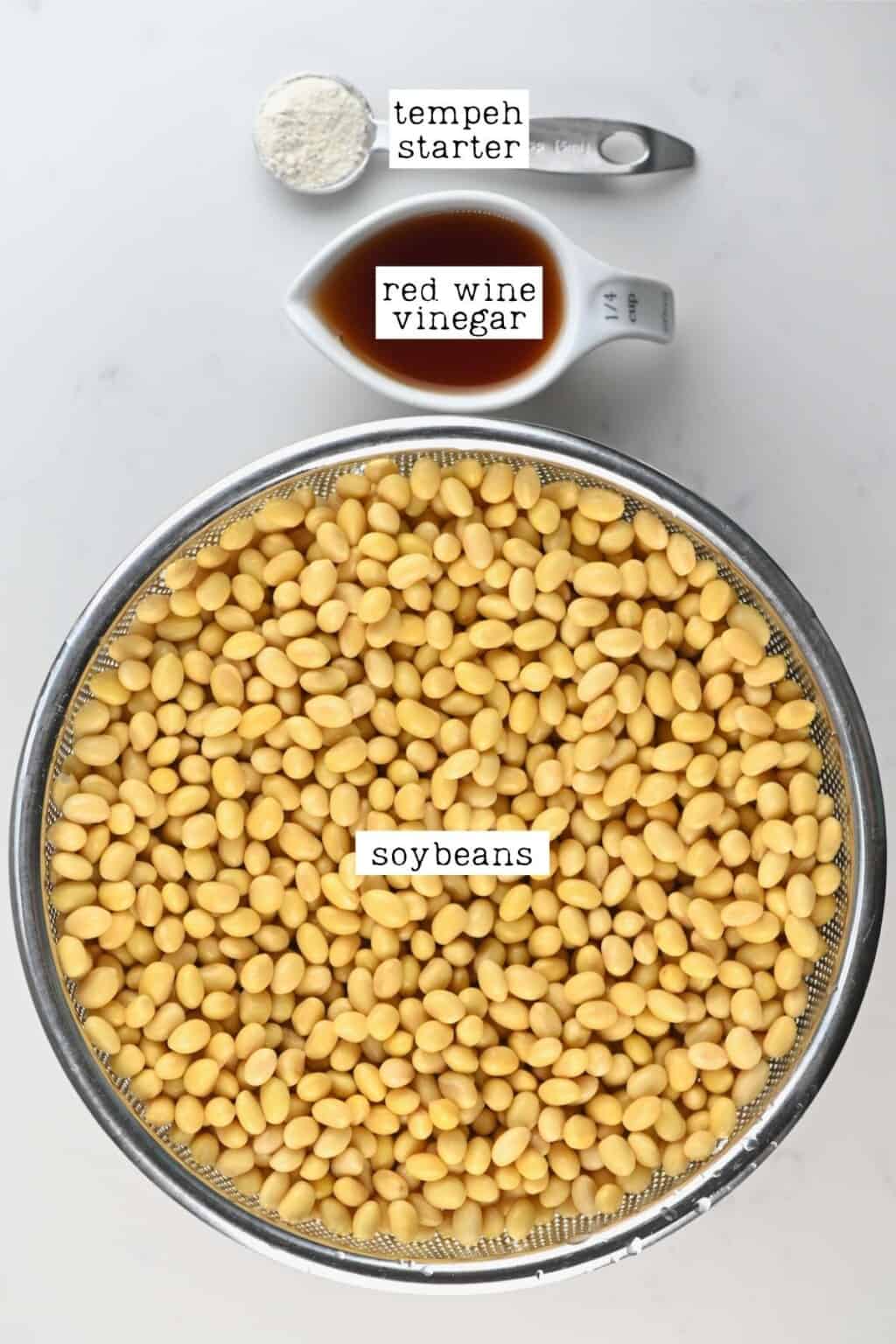 How to Make Tempeh Easy Method Alphafoodie