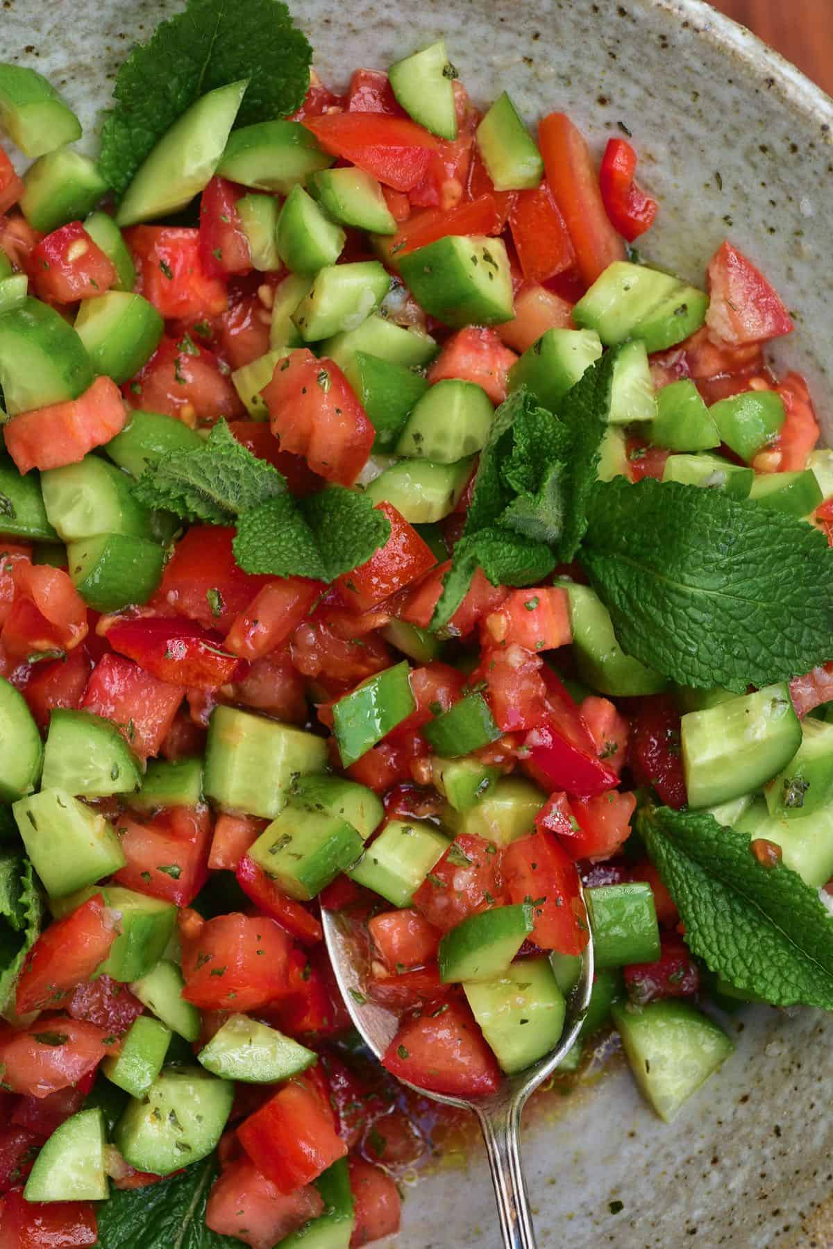 Close up of tomato and cucumber salad