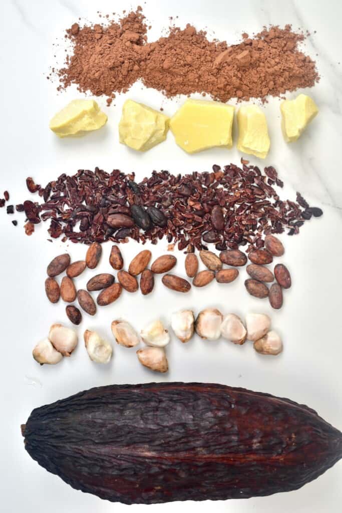 Products of the cacao bean