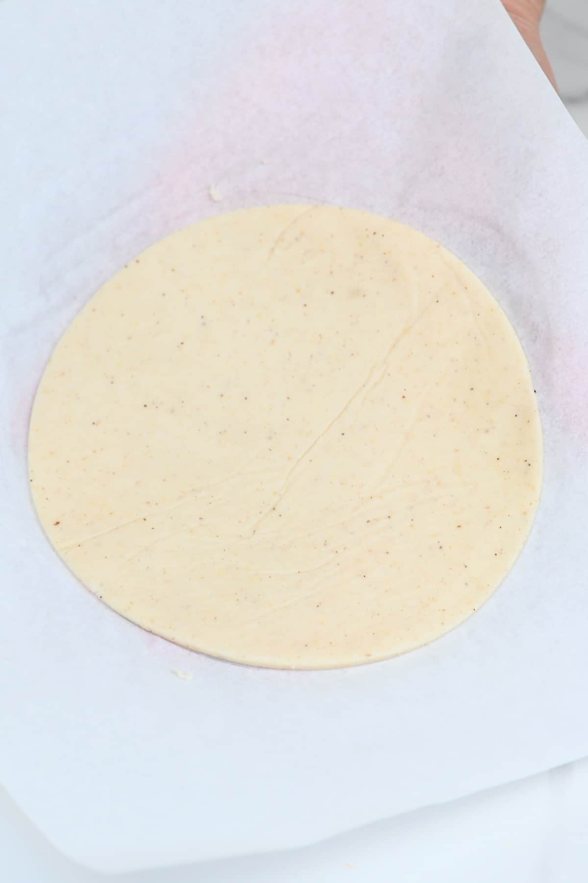 Shaped corn tortilla ready to cook