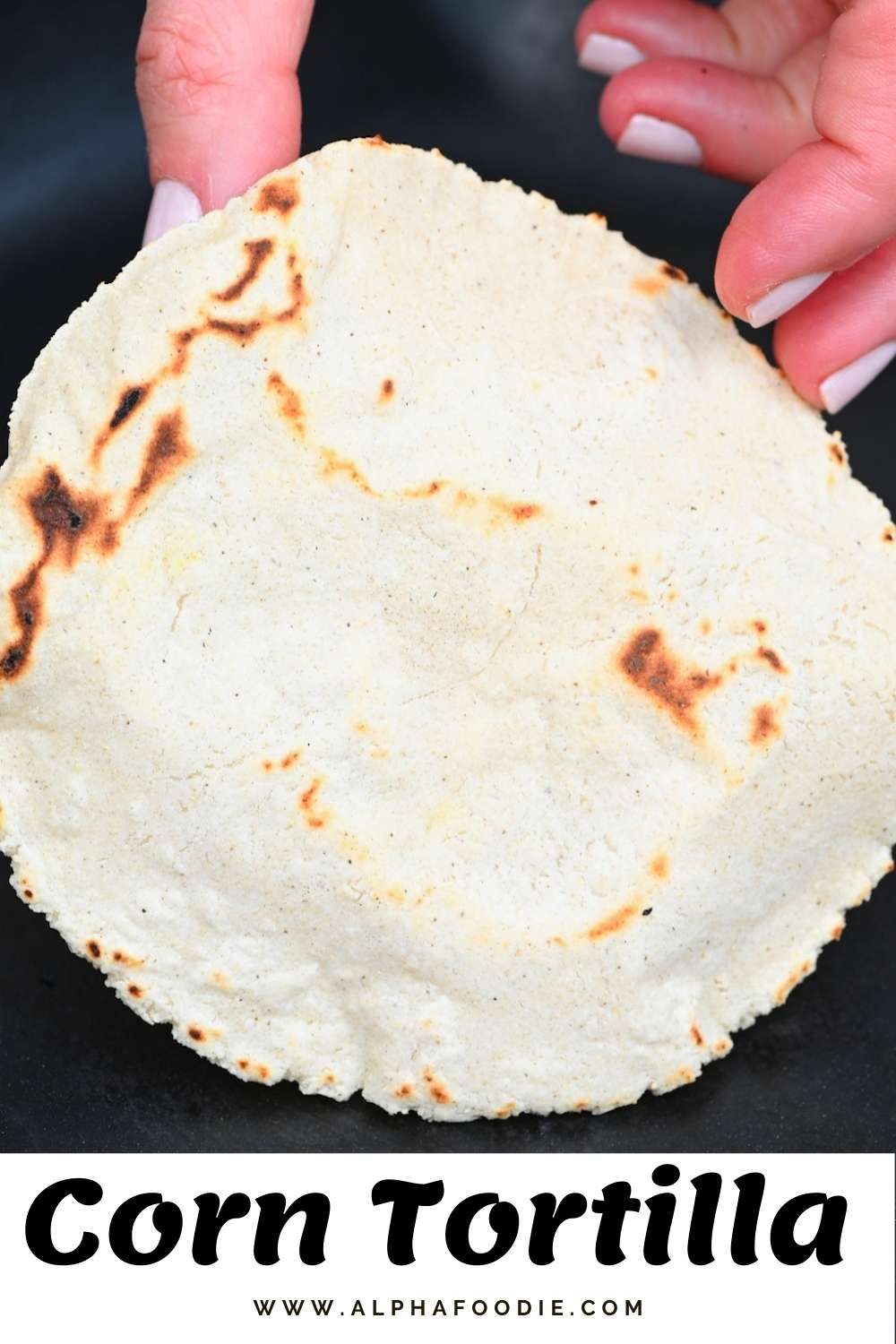 Authentic Corn Tortilla Recipe (GlutenFree Tortillas) Alphafoodie