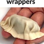 A dumpling in a hand