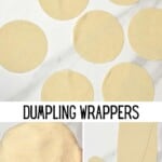 Homemade dumpling wrappers and dough