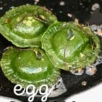 Cooking green ravioli with egg yolk