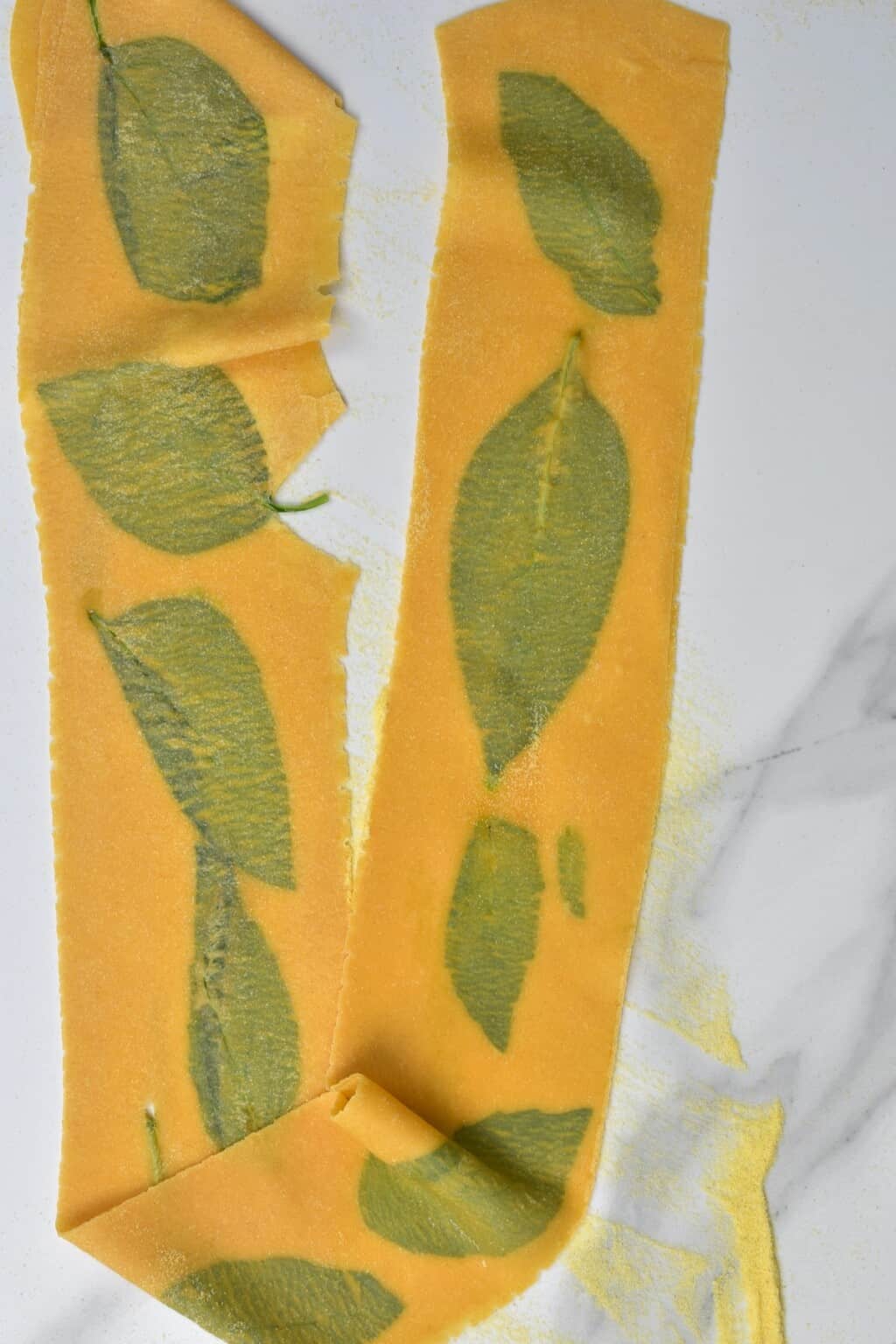 Picture of How To Make Homemade Pasta (Egg Pasta) - Alphafoodie