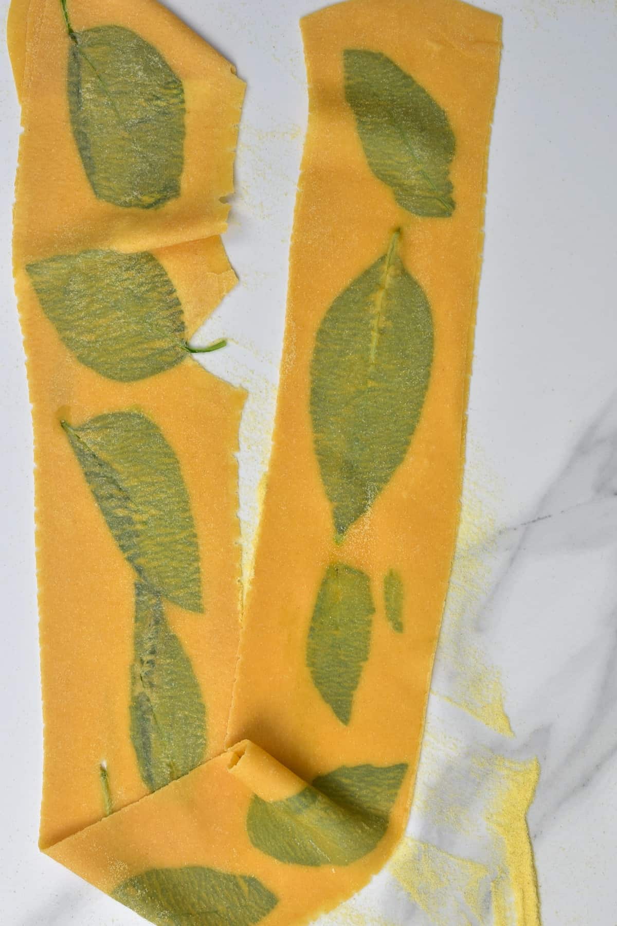 Thin sheet of pasta dough with laminated basil leaves