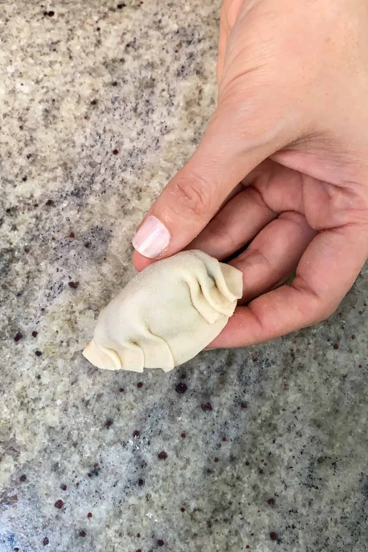 Hand holding a dumpling