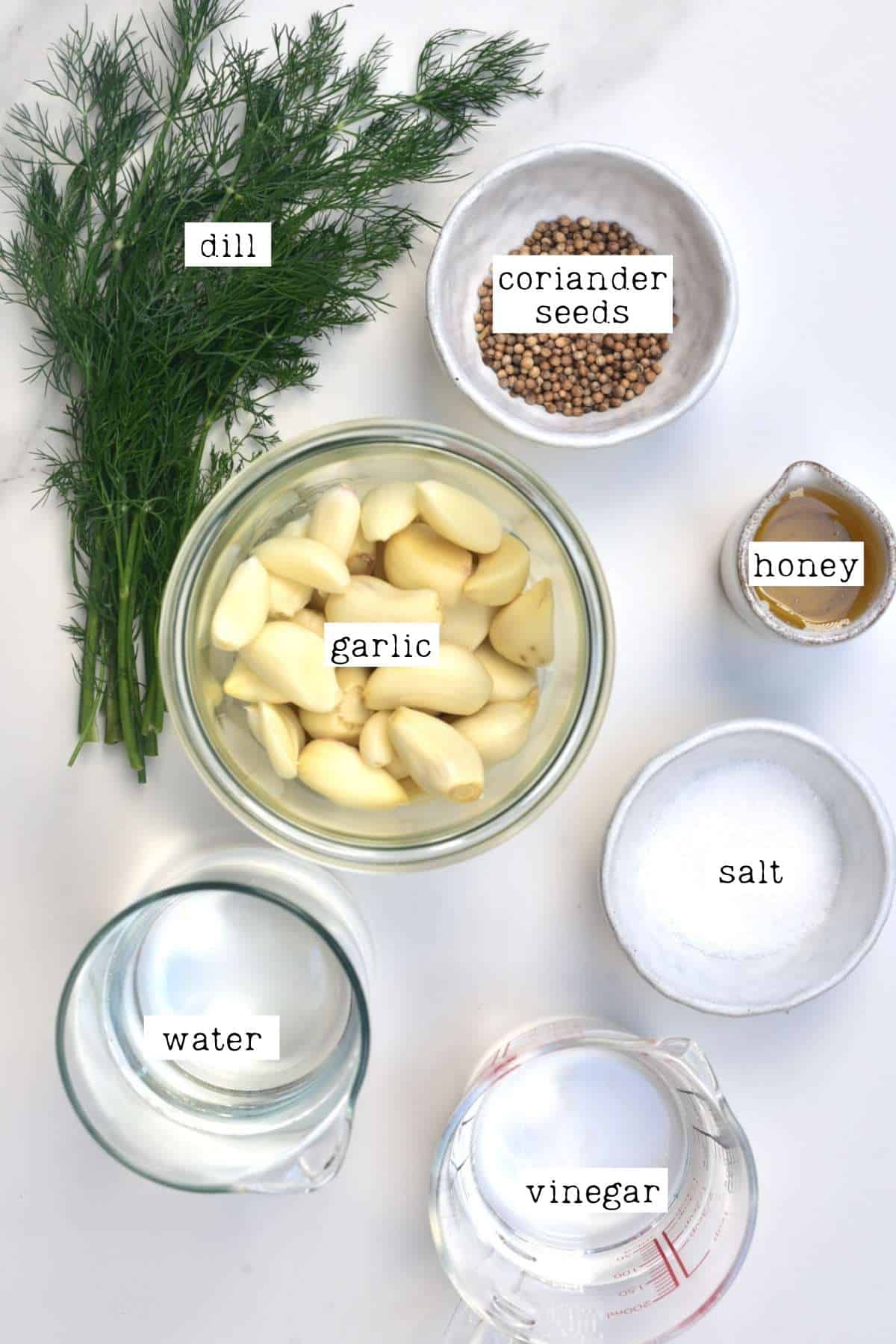 Pickled Garlic Ingredients