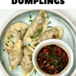 Mushroom dumplings in a plate with dipping sauce