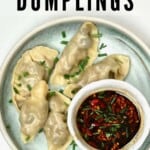 Mushroom dumplings on a plate with dipping sauce