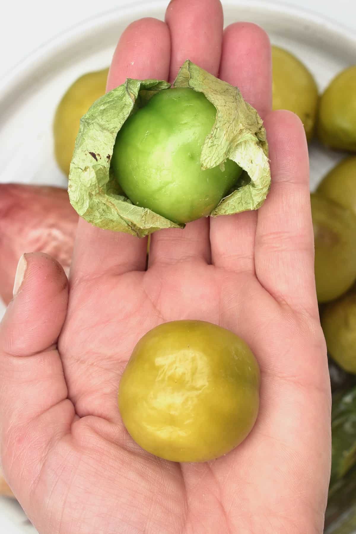 Cooked vs raw tomatillos in a hand