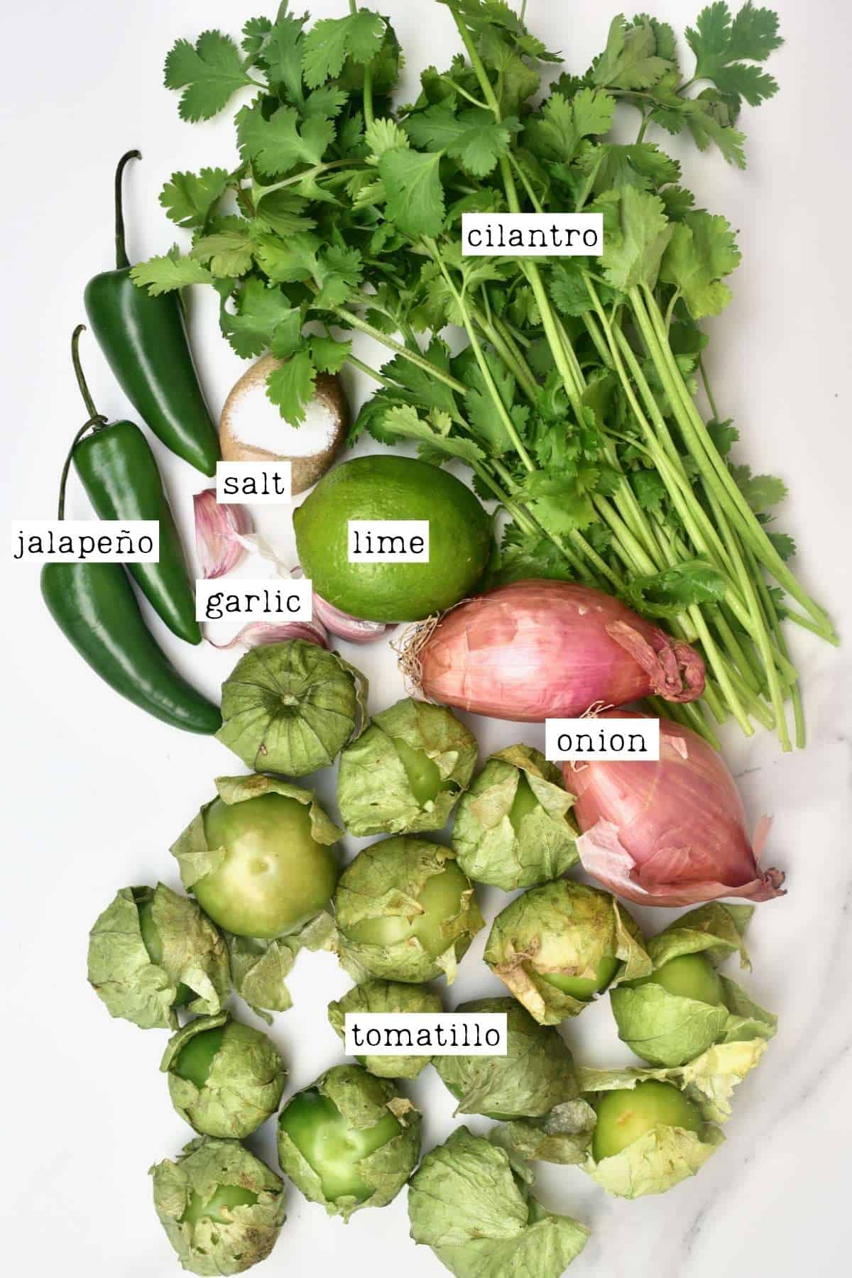 Ingredients for salsa verde