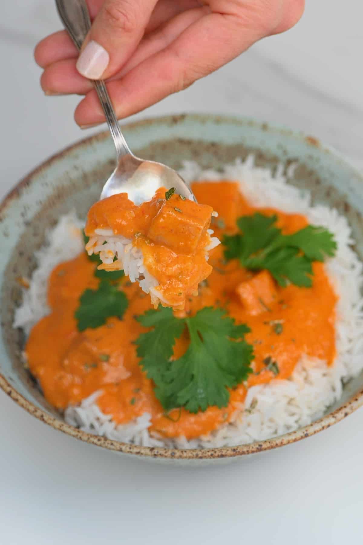 A spoonful of tofu butter chicken and rice