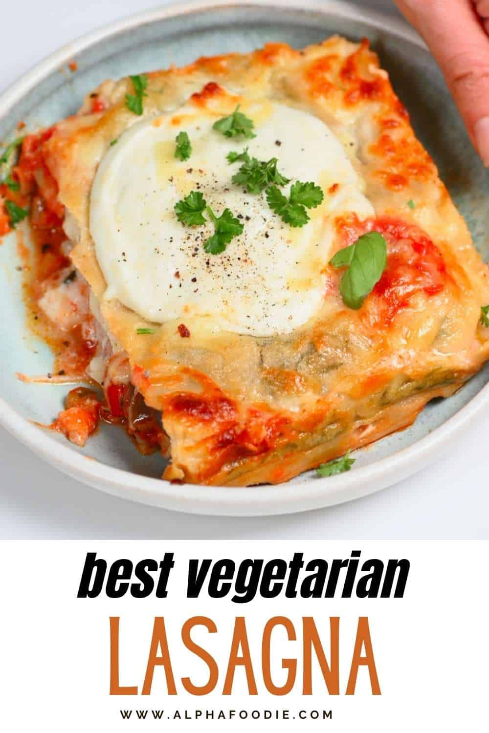 Mixed Veggie Lasagna (Vegetarian Lasagna Recipe) - Alphafoodie