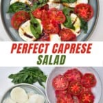 A caprese salad in a plate and ingredients to make it