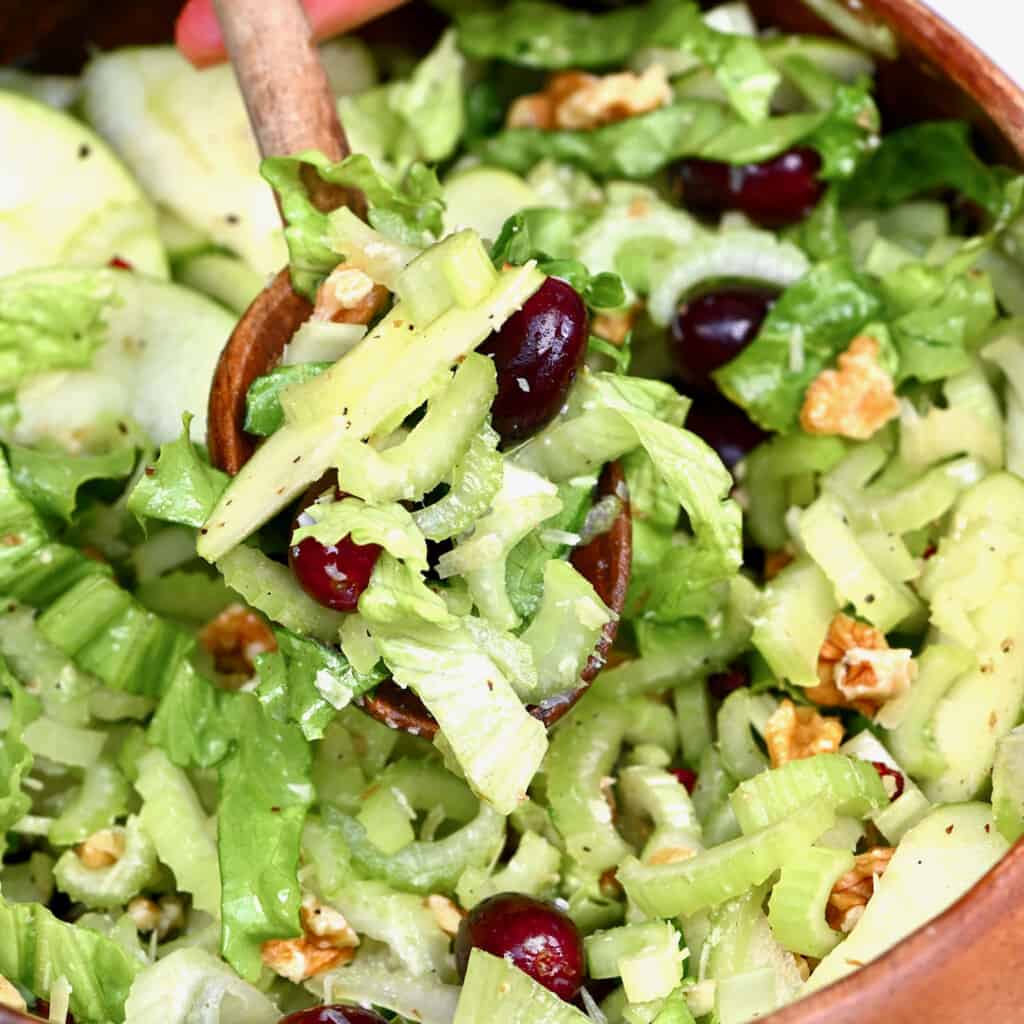 Simple Celery Salad (Waldorf Apple Salad) Alphafoodie