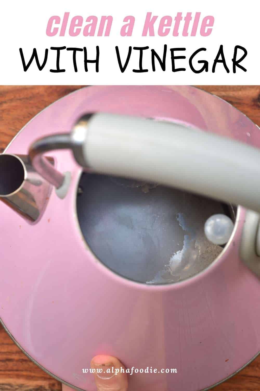 How to Clean An Electric Kettle Alphafoodie